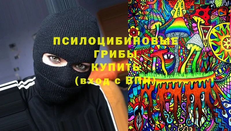 где купить   Великий Устюг  Псилоцибиновые грибы ЛСД 